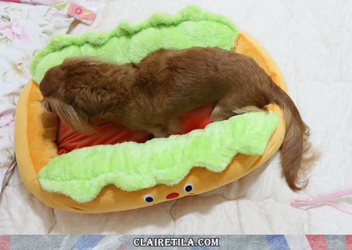 20251024-62huh 20251024-62huh