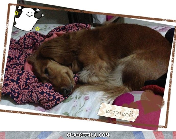 20251024-6cy0a 20251024-6cy0a