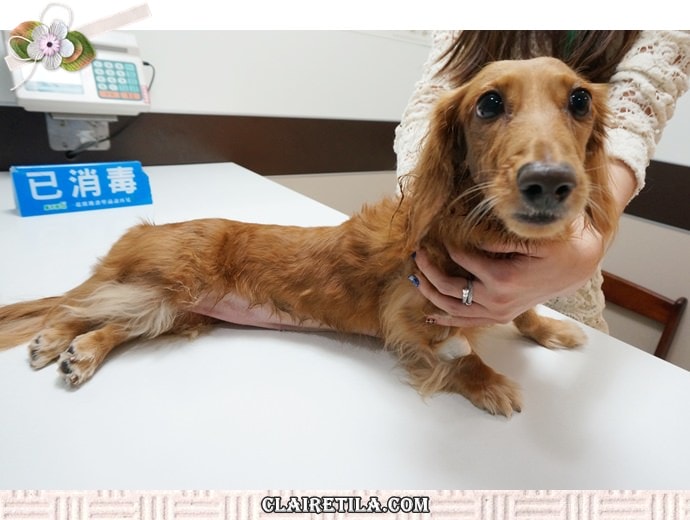 20251024-6ua2g 20251024-6ua2g