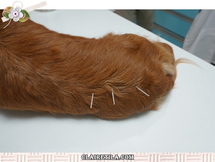 20251024-7yz9i 20251024-7yz9i