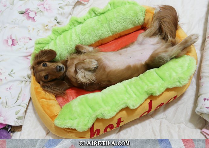 20251024-803p4 20251024-803p4