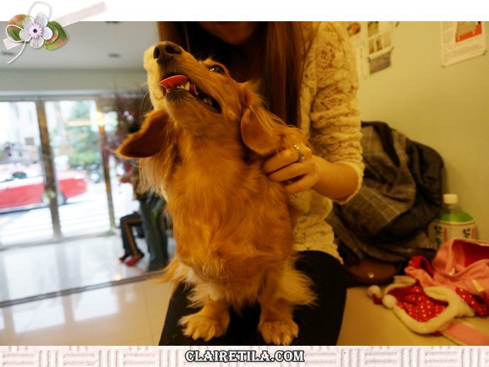 20251024-8vxum 20251024-8vxum