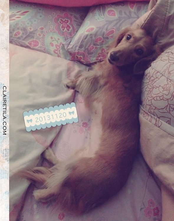 20251024-8x1ax 20251024-8x1ax