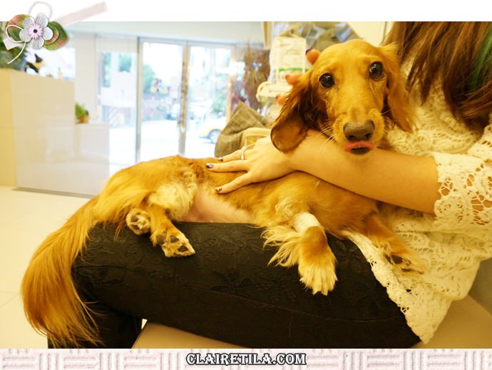 20251024-adq5y 20251024-adq5y