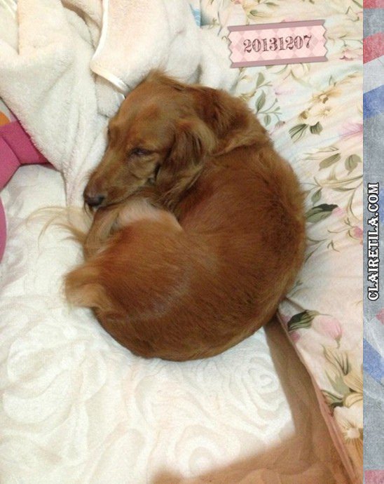 20251024-adymk 20251024-adymk