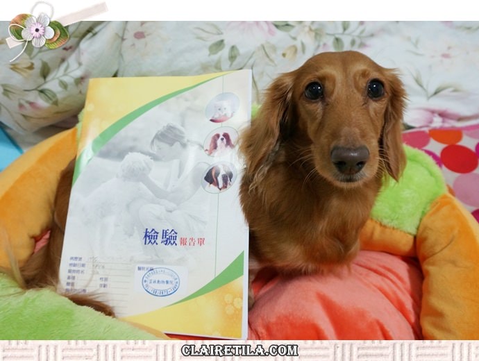 20251024-dnkf5 20251024-dnkf5