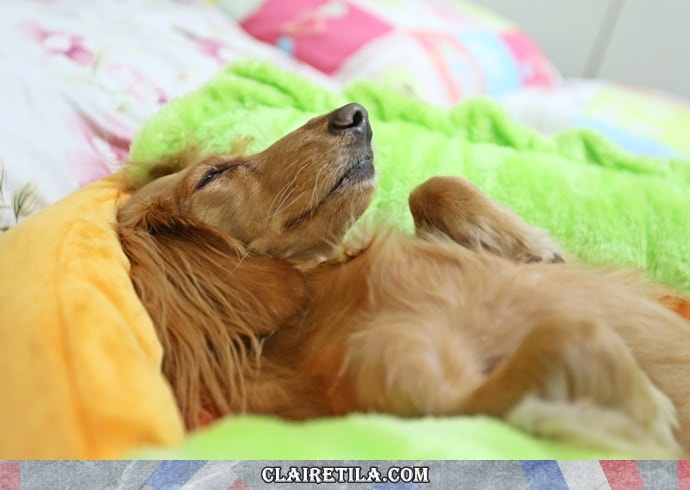 20251024-ehhkf 20251024-ehhkf