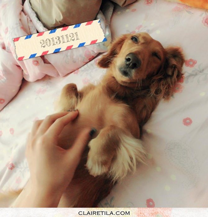 20251024-ekf4b 20251024-ekf4b