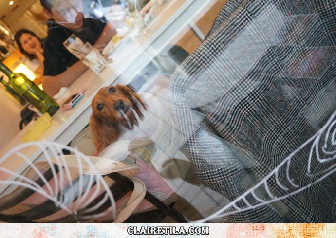 20251024-f7l6y 20251024-f7l6y