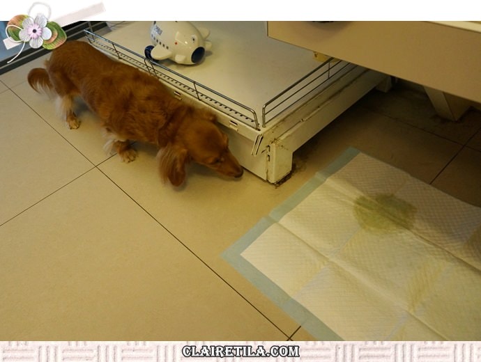 20251024-fxris 20251024-fxris