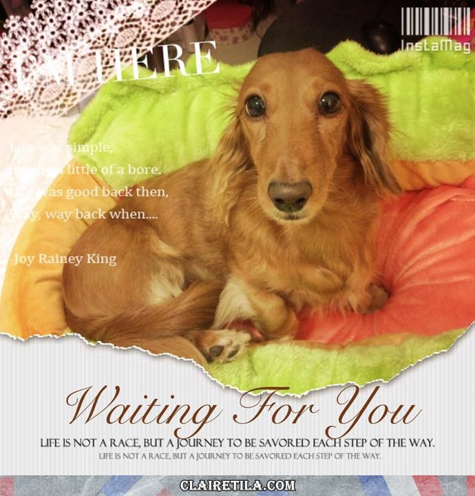 20251024-hl70k 20251024-hl70k