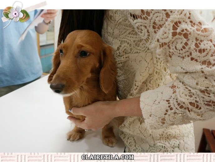 20251024-ig1ca 20251024-ig1ca