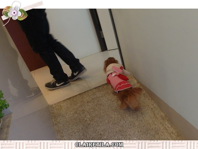 20251024-iqca0 20251024-iqca0