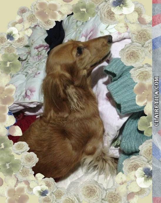 20251024-ivkl8 20251024-ivkl8