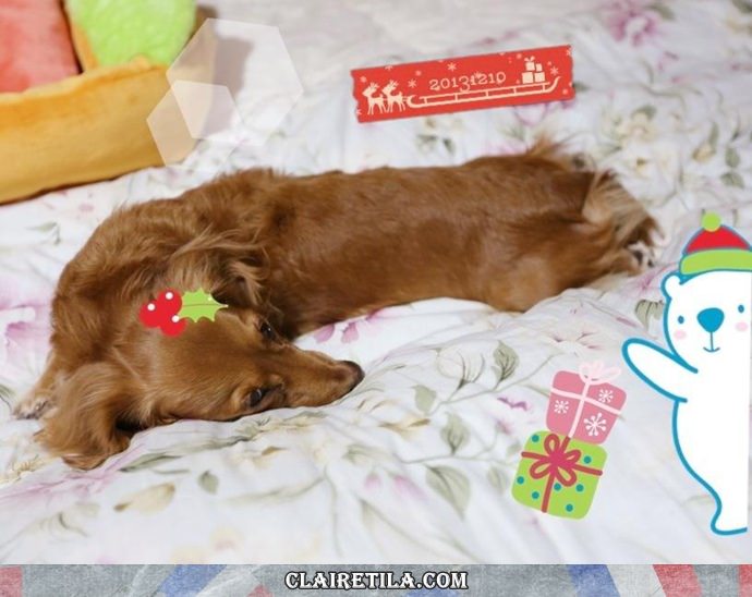 20251024-jpgzj 20251024-jpgzj