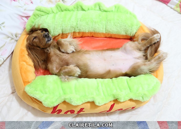 20251024-ohhev 20251024-ohhev