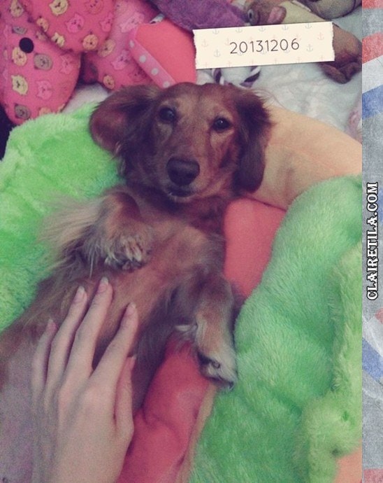 20251024-pa2qm 20251024-pa2qm