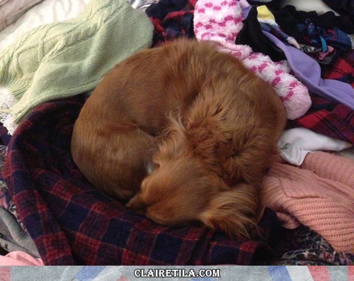 20251024-qfuv0 20251024-qfuv0