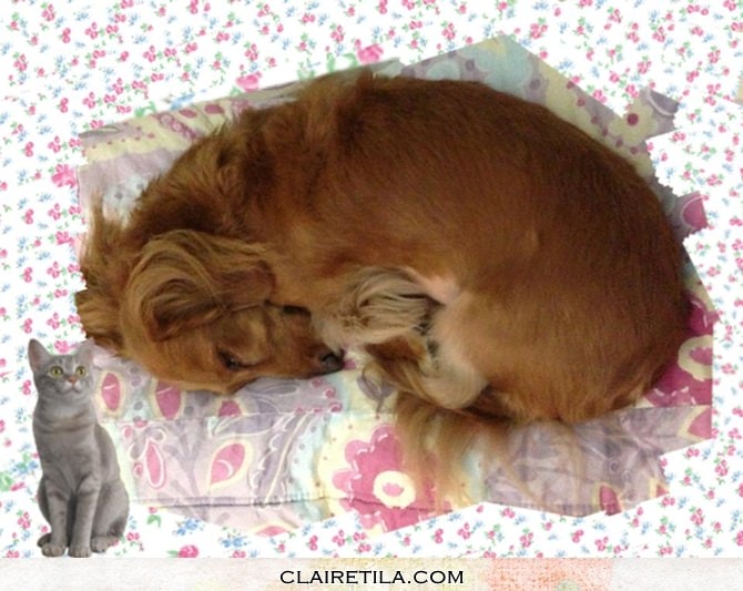 20251024-r2wip 20251024-r2wip