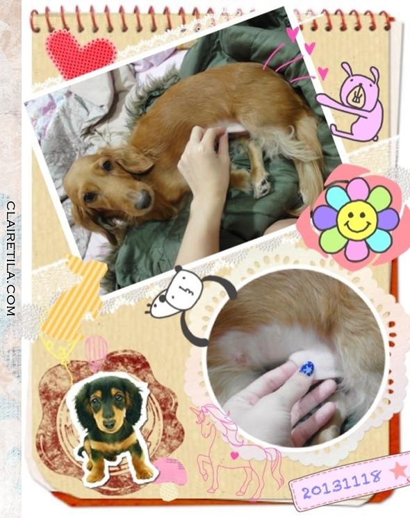 20251024-t7fkp 20251024-t7fkp