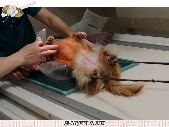 20251024-tc4f1 20251024-tc4f1