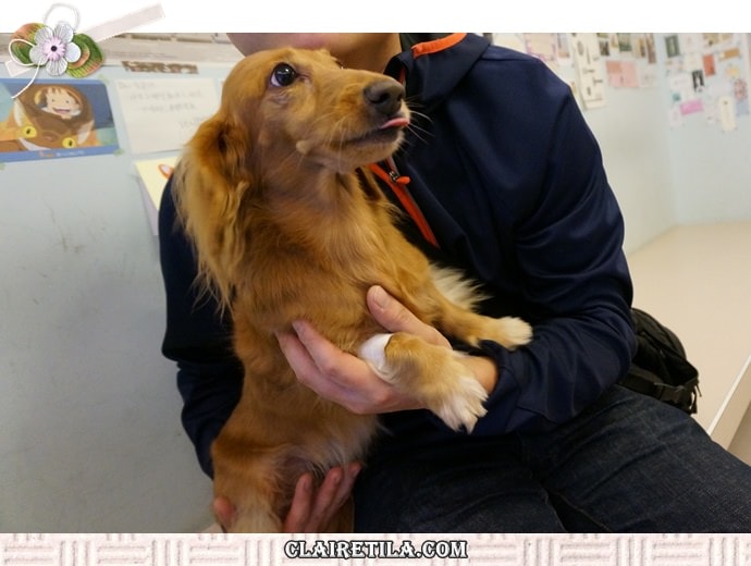 20251024-twwk3 20251024-twwk3