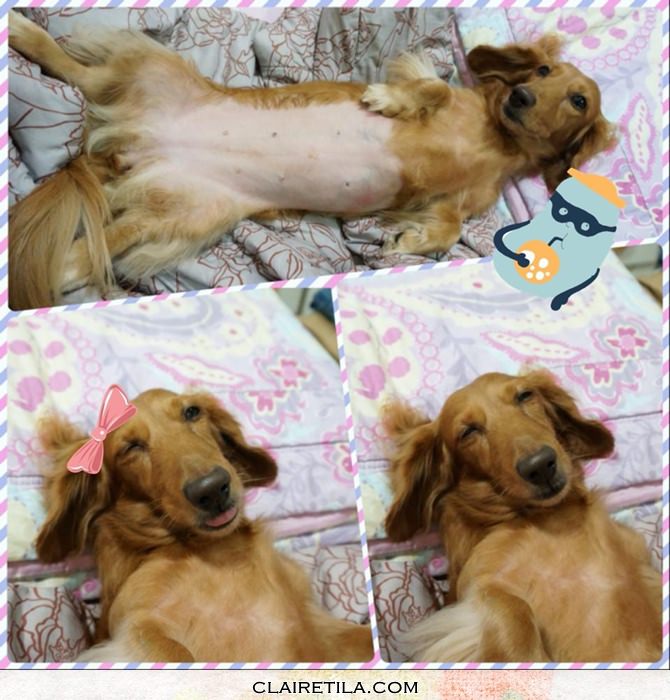 20251024-ui1eh 20251024-ui1eh