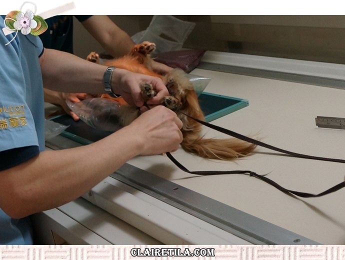 20251024-wukvh 20251024-wukvh