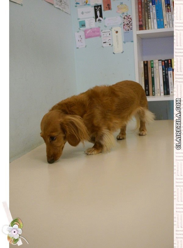 20251024-yl3uz 20251024-yl3uz