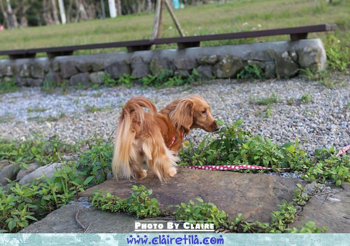 20251024-0c31r 20251024-0c31r