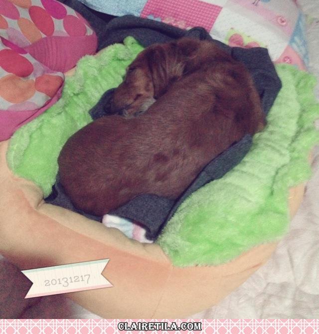 20251024-1bi39 20251024-1bi39