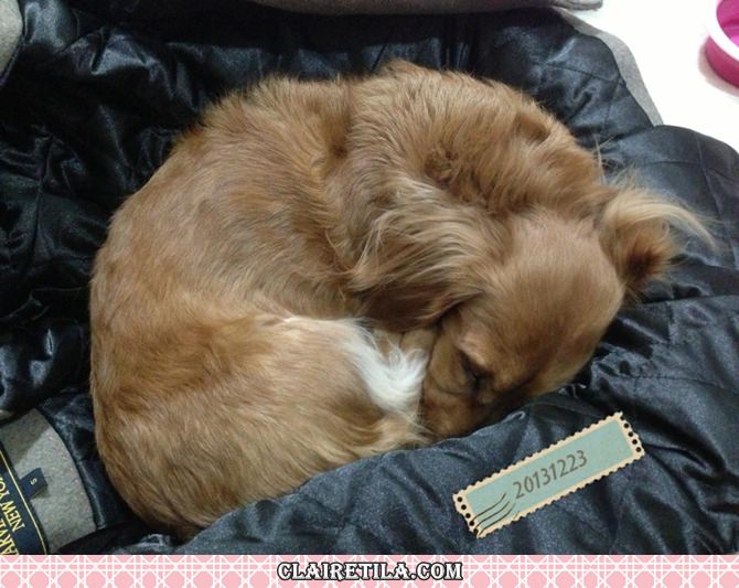 20251024-1kuvr 20251024-1kuvr