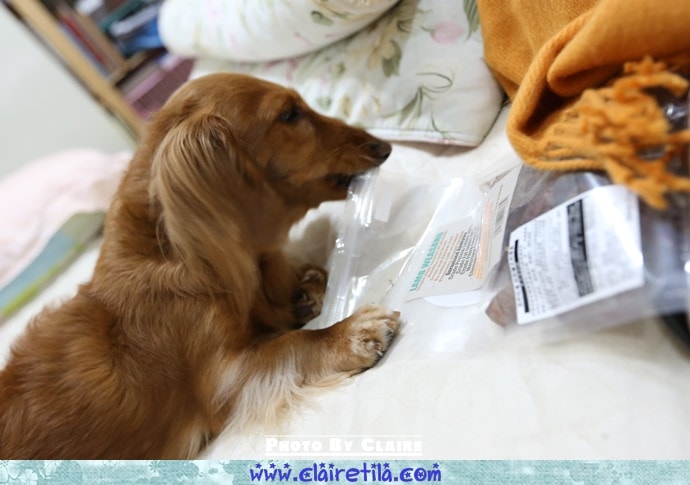 20251024-3qt4s 20251024-3qt4s