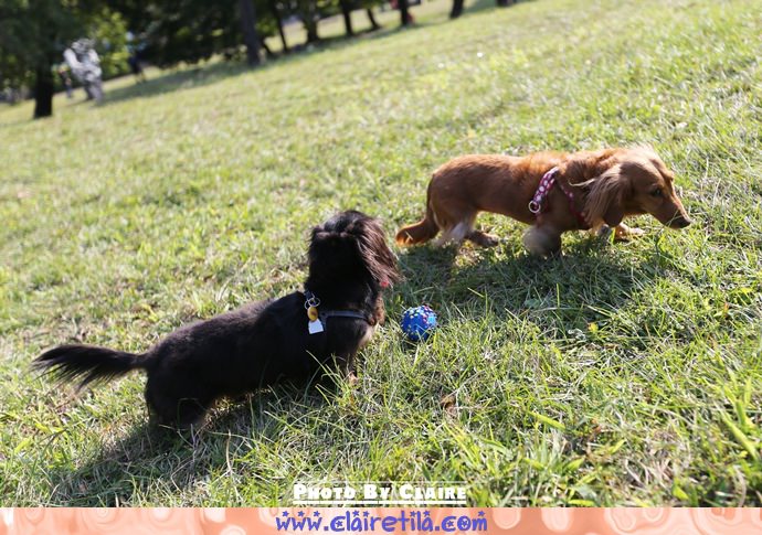 20251024-4e5kf 20251024-4e5kf