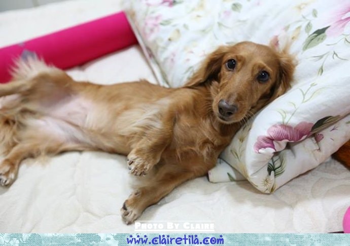 20251024-4mki4 20251024-4mki4