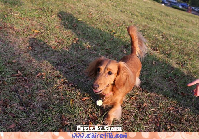 20251024-4x00a 20251024-4x00a