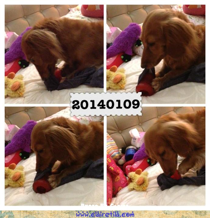 20251024-4z0u8 20251024-4z0u8