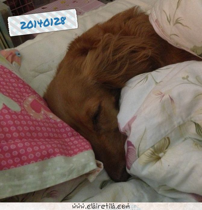 20251024-5guhq 20251024-5guhq