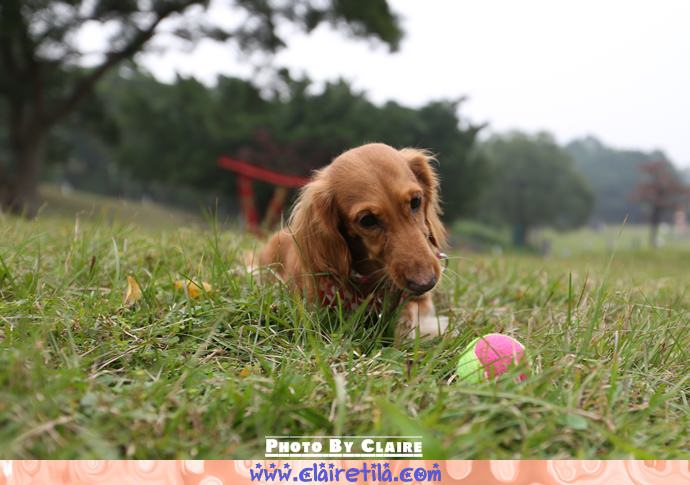 20251024-6sexh 20251024-6sexh