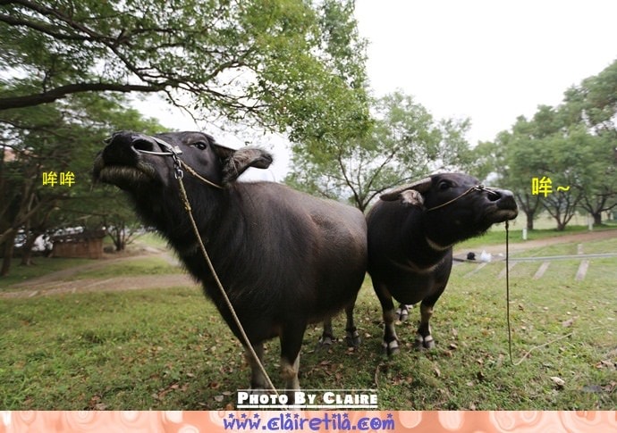 20251024-7ato0 20251024-7ato0