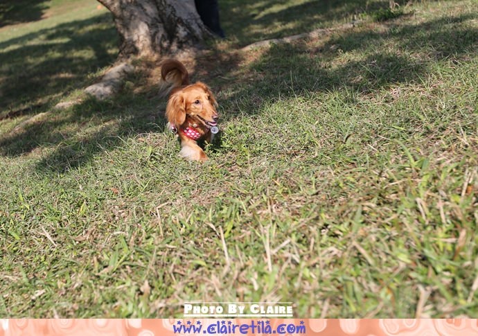 20251024-7pr9f 20251024-7pr9f