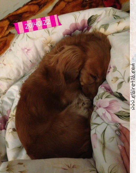 20251024-917uy 20251024-917uy