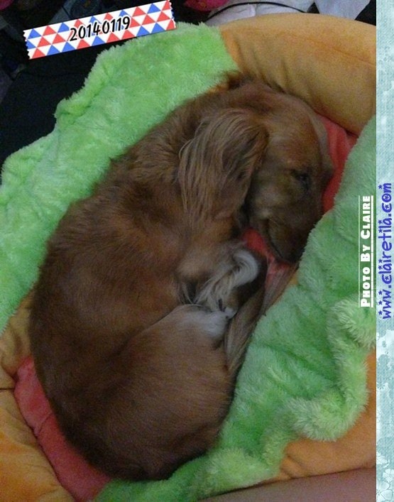 20251024-9fr2r 20251024-9fr2r