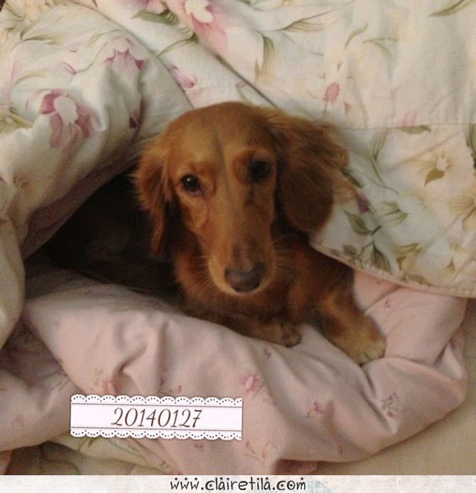 20251024-9lt11 20251024-9lt11