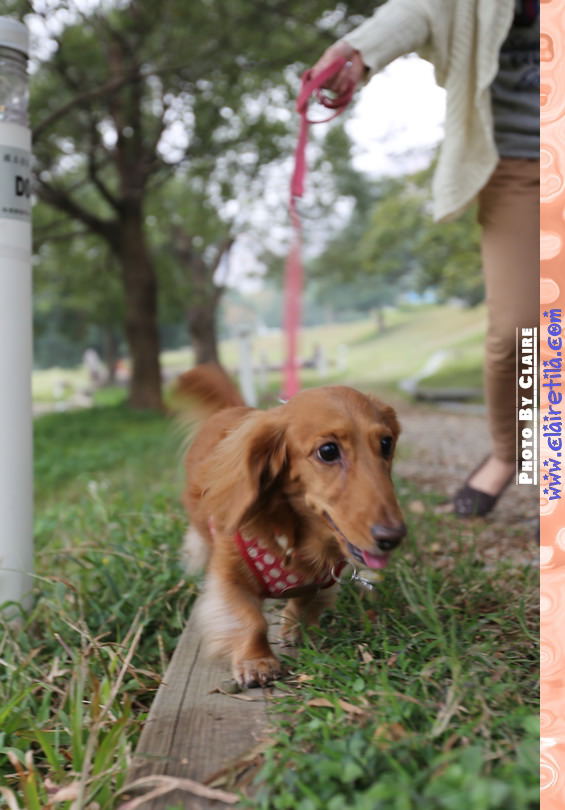 20251024-9ztvk 20251024-9ztvk