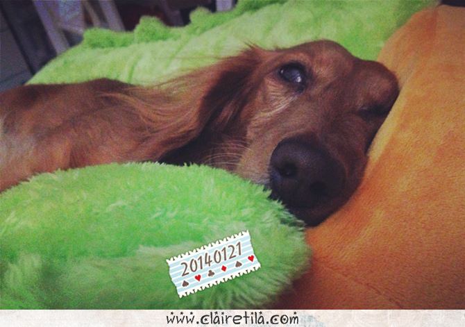 20251024-avtk0 20251024-avtk0