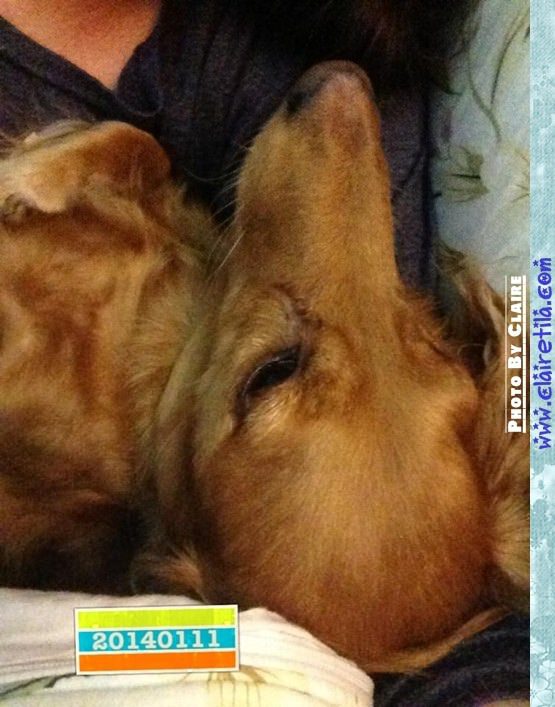 20251024-b79vx 20251024-b79vx