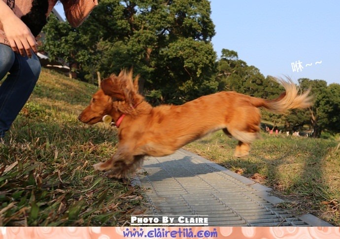 20251024-blehn 20251024-blehn