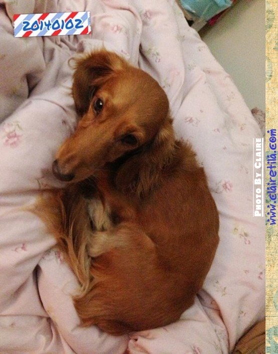 20251024-c7ttx 20251024-c7ttx