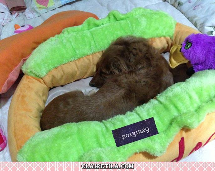 20251024-dwjqi 20251024-dwjqi